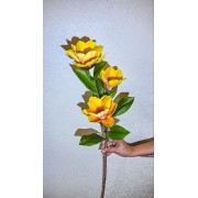 Магнолія латексна